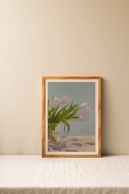 Tulipaner