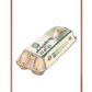 Æg