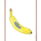 Banan