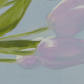 Tulipaner Lagersalg