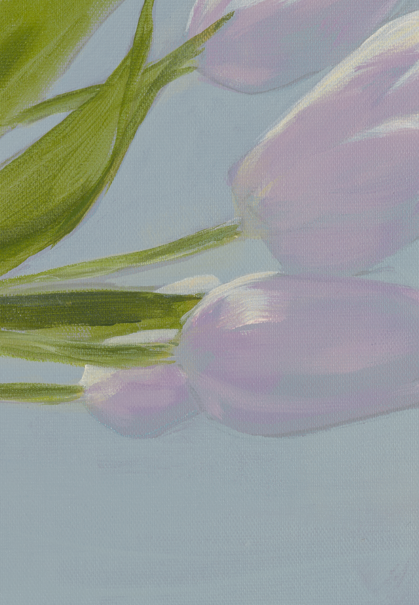 Tulipaner Lagersalg