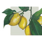 Citroner Lagersalg