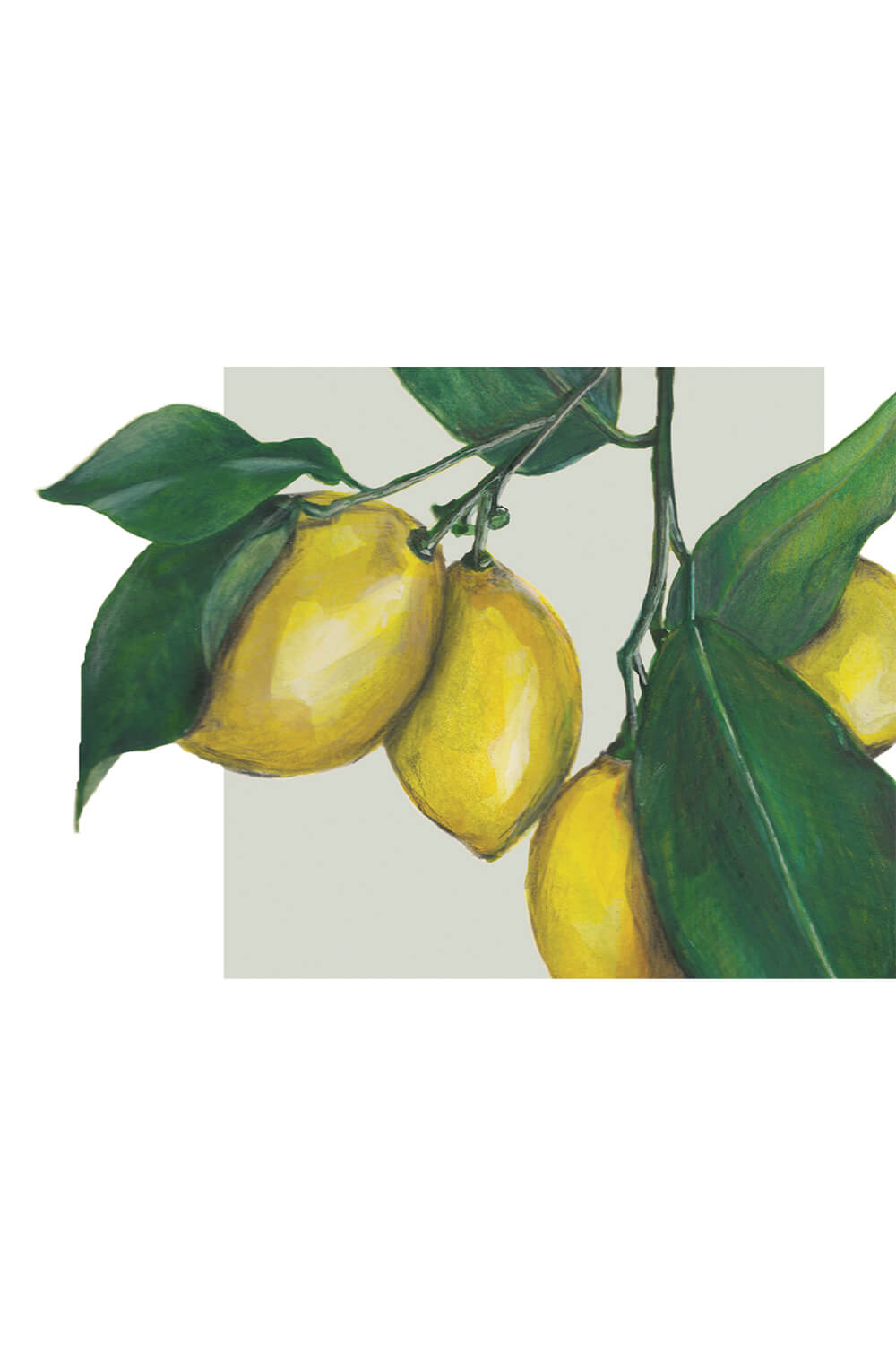 Citroner Lagersalg