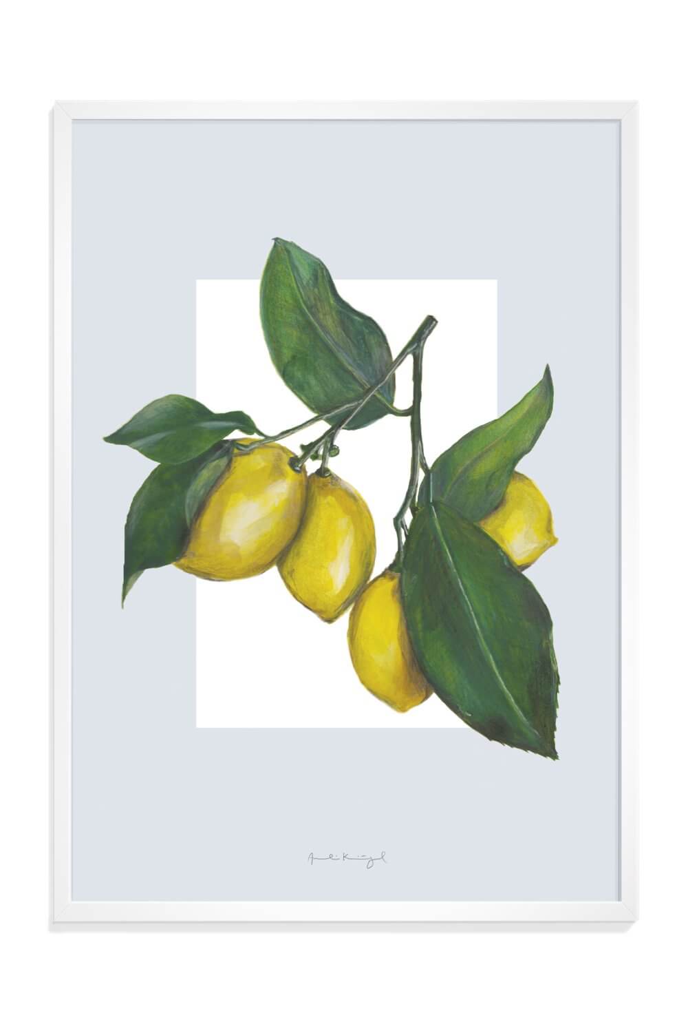 Citroner Lagersalg