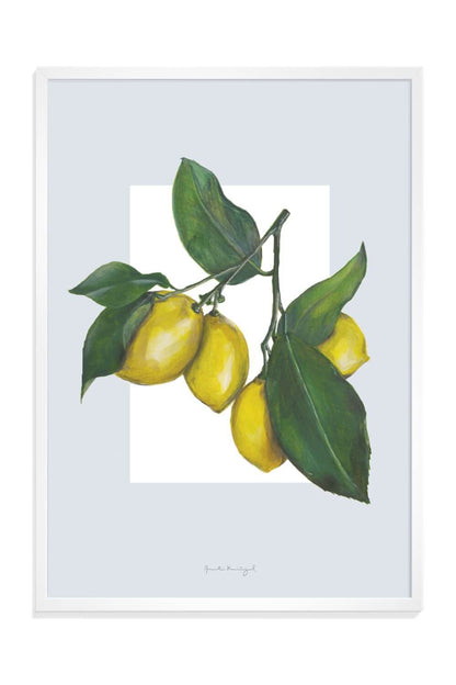 Citroner Lagersalg