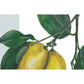 Citroner Lagersalg
